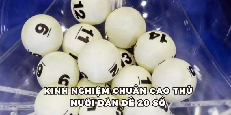 Bỏ túi kinh nghiệm hữu ích từ cao thủ giúp nuôi dàn đề 20 số trúng lớn