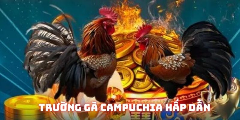 trường gà campuchia 789bet